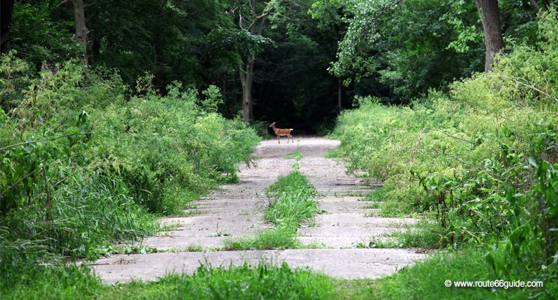 Route 66 in Lincoln, IL