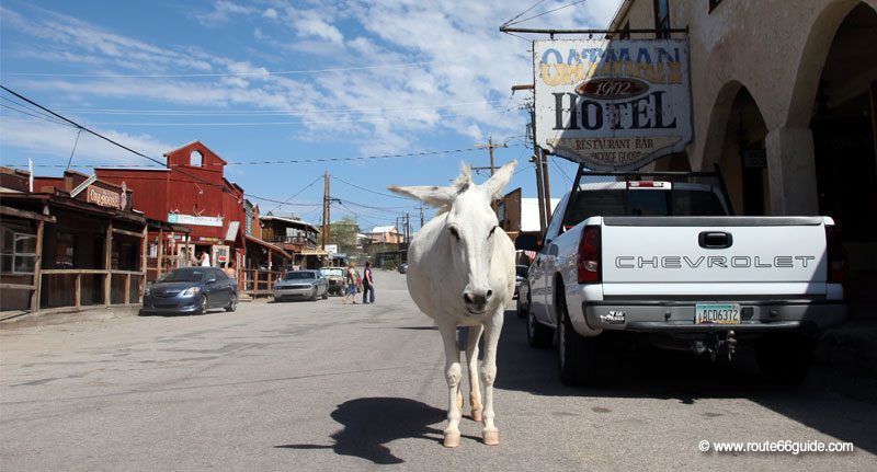 Oatman in Arizona