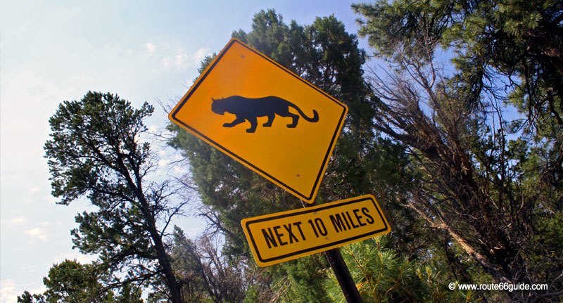 Road sign, Grand Canyon AZ